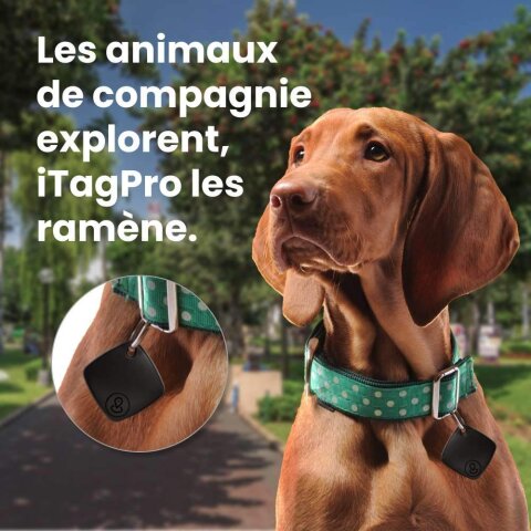 iTagPro image